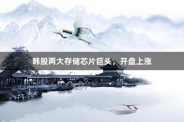 韩股两大存储芯片巨头，开盘上涨