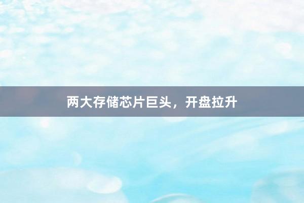 两大存储芯片巨头,开盘拉升