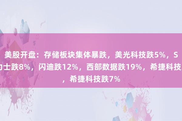 美股开盘：存储板块集体暴跌，美光科技跌5%，SK海力士跌8%，闪迪跌12%，西部数据跌19%，希捷科技跌7%