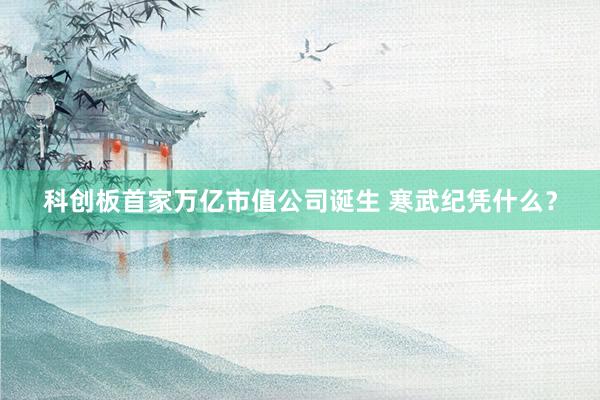 科创板首家万亿市值公司诞生 寒武纪凭什么？