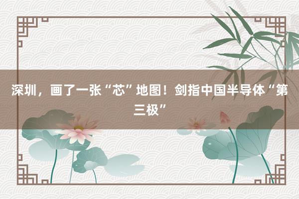 深圳，画了一张“芯”地图！剑指中国半导体“第三极”