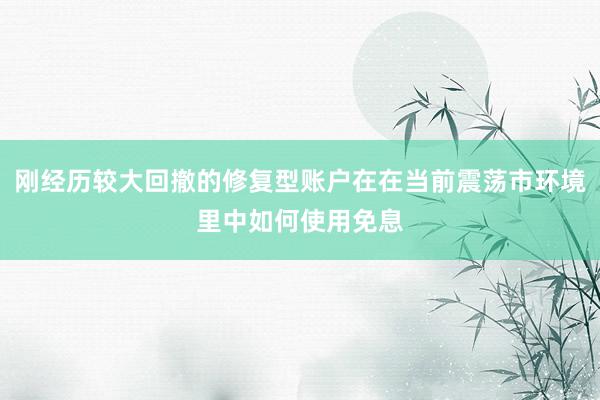 刚经历较大回撤的修复型账户在在当前震荡市环境里中如何使用免息