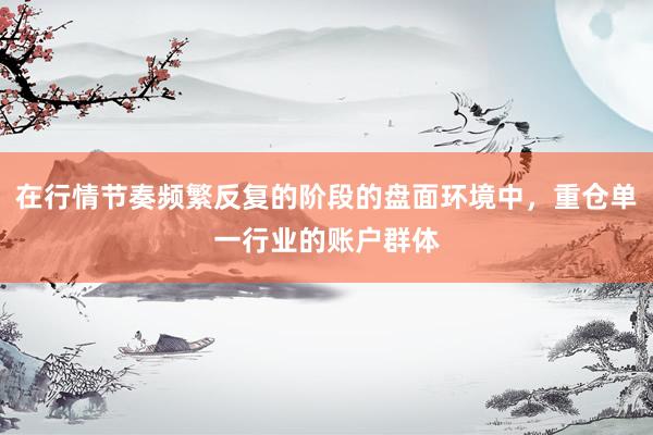 在行情节奏频繁反复的阶段的盘面环境中，重仓单一行业的账户群体