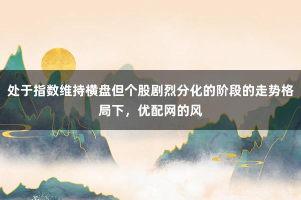 处于指数维持横盘但个股剧烈分化的阶段的走势格局下，优配网的风