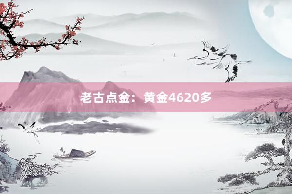 老古点金：黄金4620多