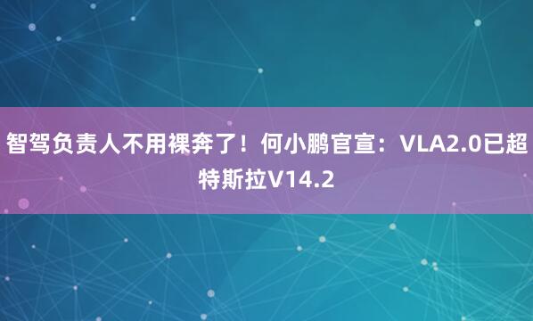 智驾负责人不用裸奔了！何小鹏官宣：VLA2.0已超特斯拉V14.2