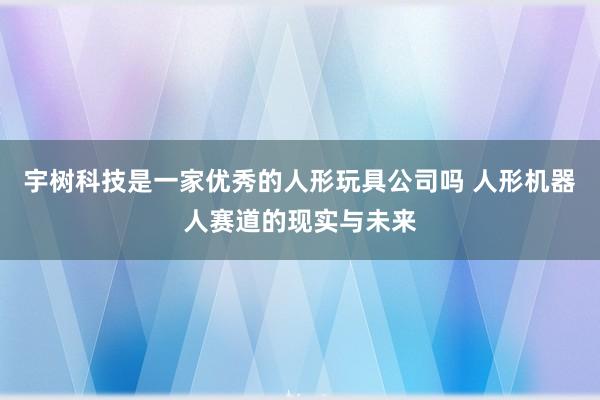 宇树科技是一家优秀的人形玩具公司吗 人形机器人赛道的现实与未来