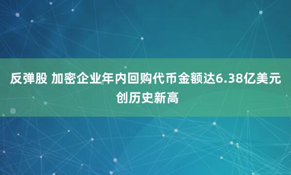 反弹股 加密企业年内回购代币金额达6.38亿美元 创历史新高