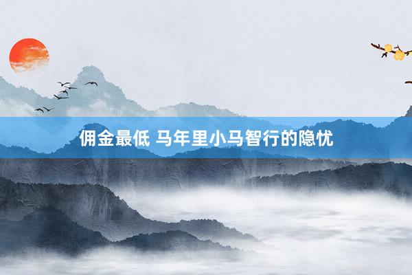 佣金最低 马年里小马智行的隐忧