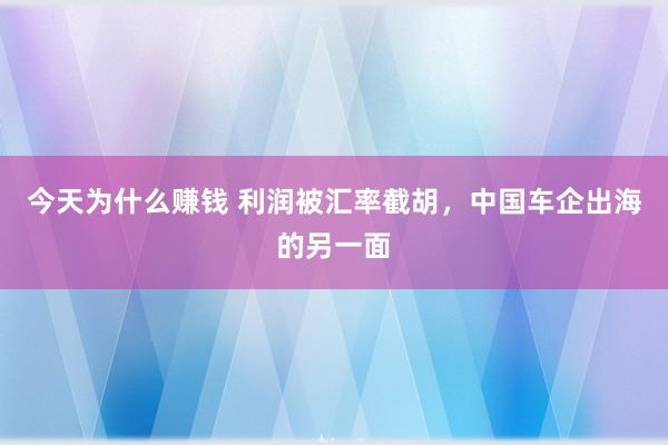 今天为什么赚钱 利润被汇率截胡，中国车企出海的另一面