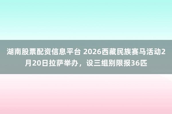 湖南股票配资信息平台 2026西藏民族赛马活动2月20日拉萨举办，设三组别限报36匹