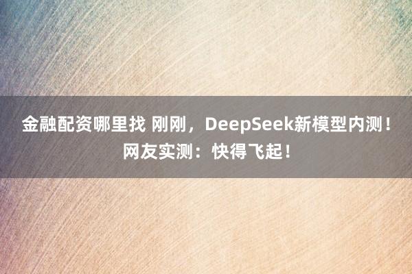 金融配资哪里找 刚刚，DeepSeek新模型内测！网友实测：快得飞起！