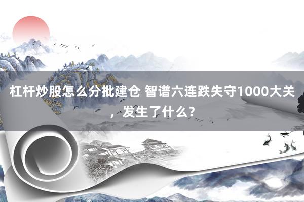 杠杆炒股怎么分批建仓 智谱六连跌失守1000大关，发生了什么？