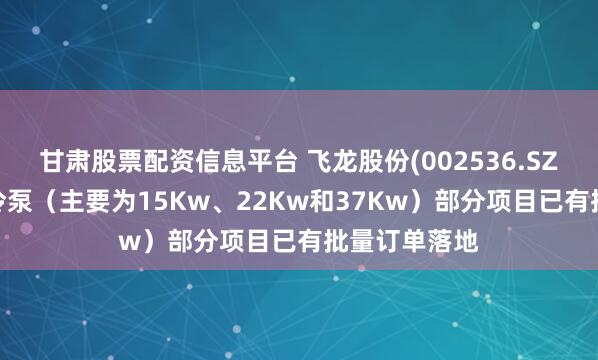 甘肃股票配资信息平台 飞龙股份(002536.SZ)：L平台液冷泵（主要为15Kw、22Kw和37Kw）部分项目已有批量订单落地