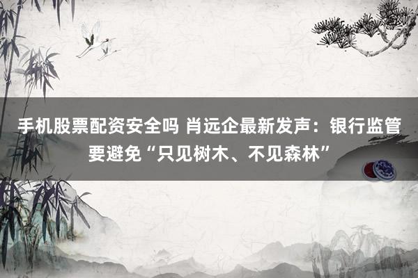 手机股票配资安全吗 肖远企最新发声：银行监管要避免“只见树木、不见森林”