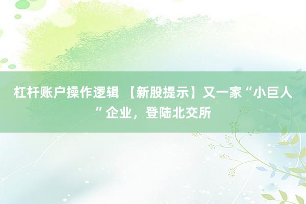 杠杆账户操作逻辑 【新股提示】又一家“小巨人”企业，登陆北交所
